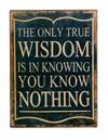Metal skilt 26x35cm The Only True Wisdom Is In Knowing You Know Nothing